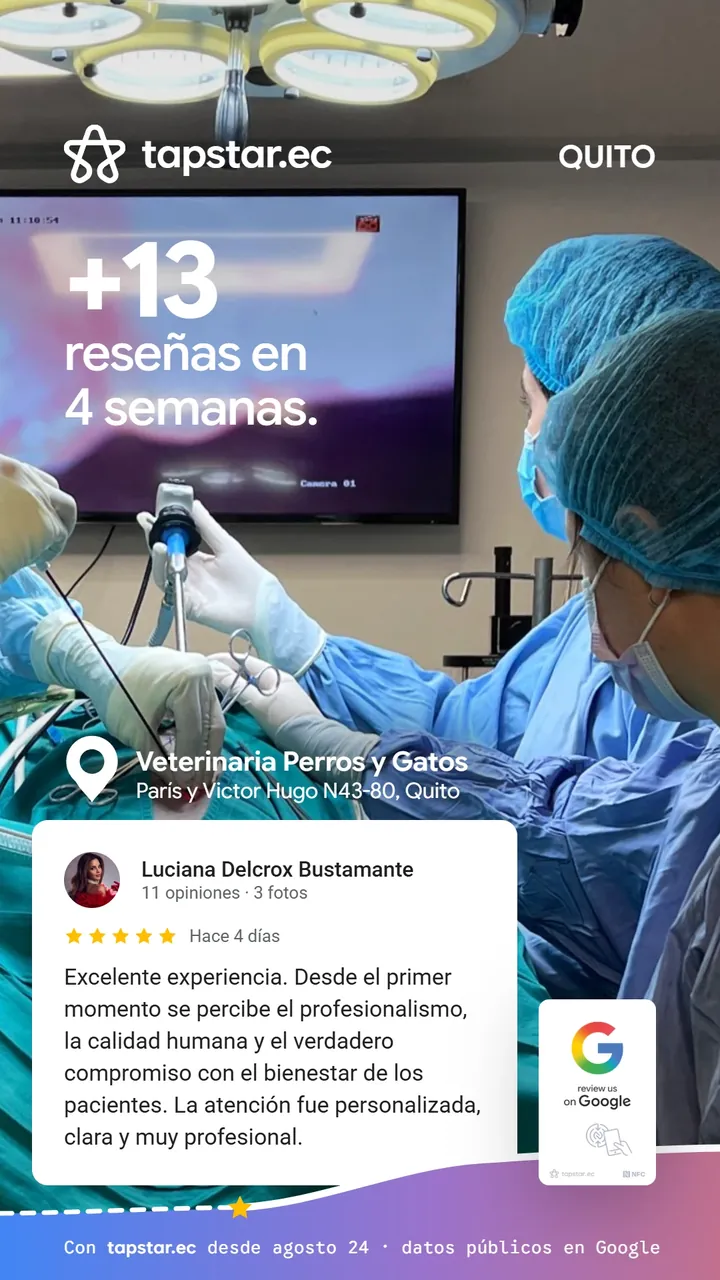 Veterinaria Perros y Gatos, Quito: +13 reseñas en Google en 4 semanas con Tapstar